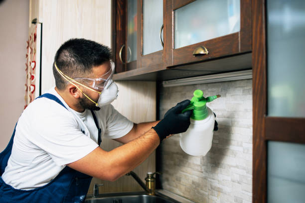  North Hobbs, NM Pest Control Pros