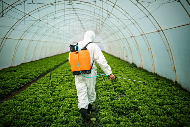 Best Emergency Pest Control  in North Hobbs, NM
