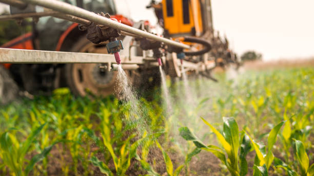 Best Commercial Pest Control Services  in North Hobbs, NM
